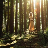 Fotógrafo introvertido favorito