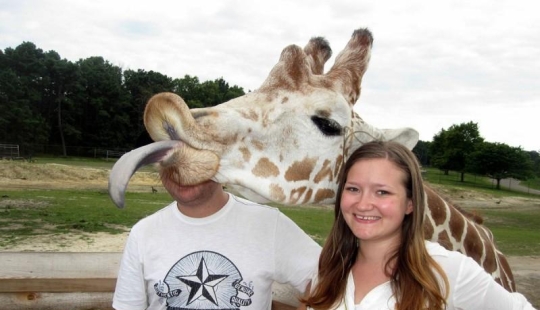 Fotobombas y fotobombas