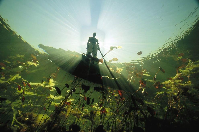 Fotografías de David Dubile: el mundo en la superficie y bajo el agua