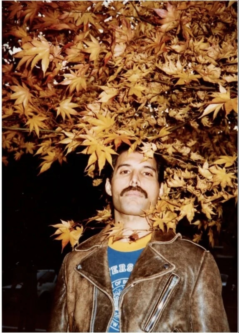 Fotografías personales nunca antes vistas de Freddie Mercury se venderán en una subasta