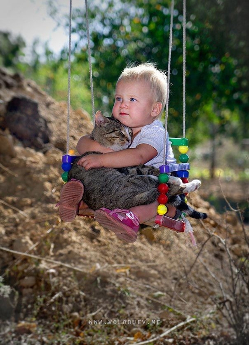 Fotos encantadoras que demuestran que su hijo necesita un gato