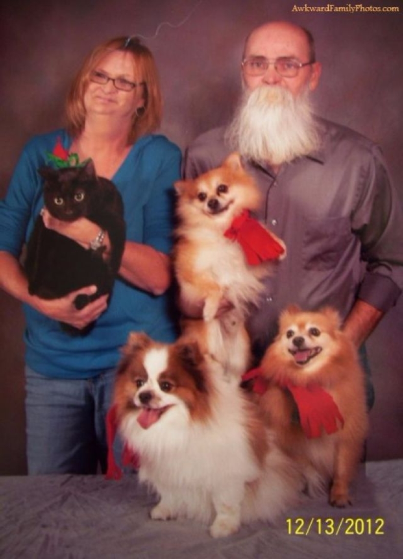 Fotos familiares muy extrañas con mascotas