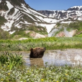 Fotos únicas de los rincones salvajes del país en el festival Rusia Primordial