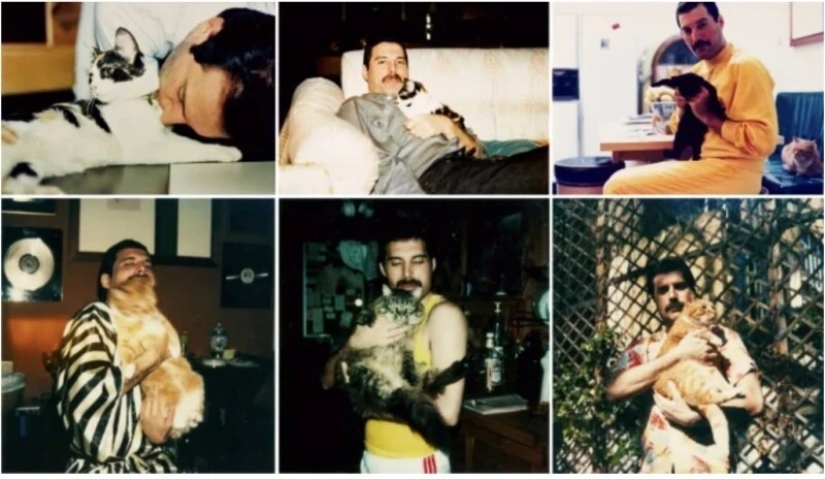 Freddie Mercury’s Never-Before-Seen Personal Photos to be Sold at Auction