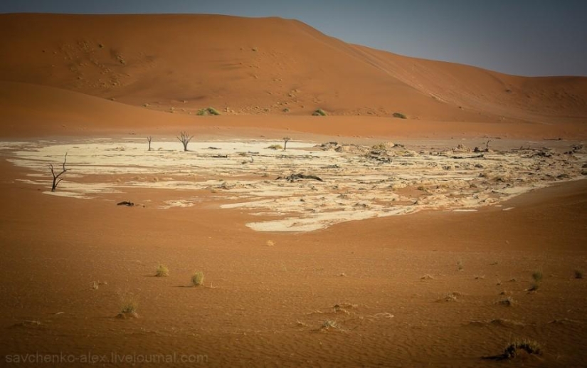 África. Namibia. Desierto de Namib - Sossusvlei