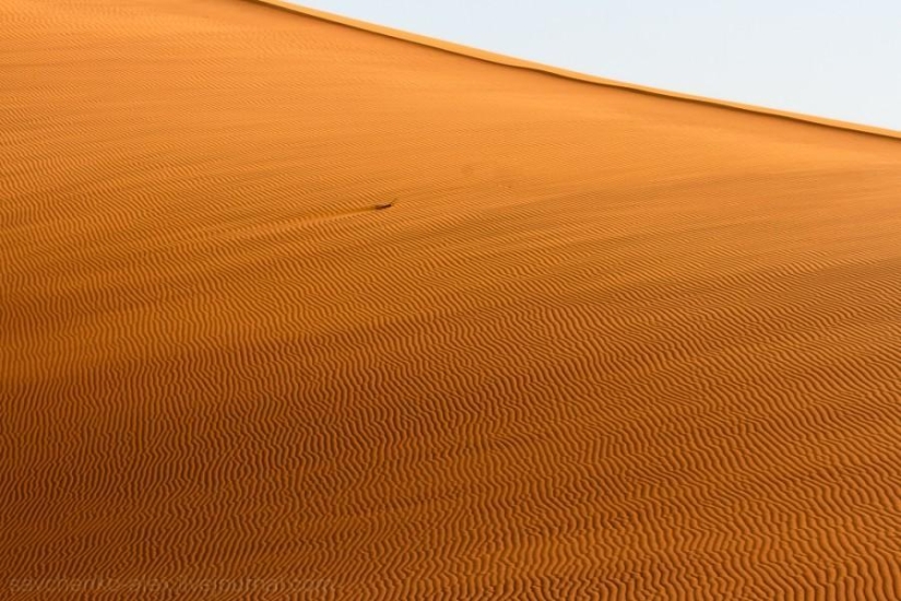 África. Namibia. Desierto de Namib - Sossusvlei