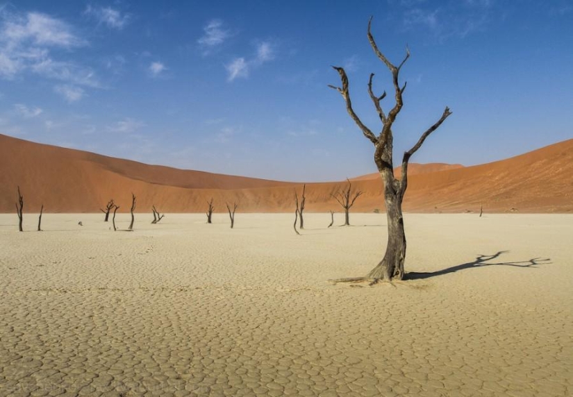 África. Namibia. Desierto de Namib - Sossusvlei