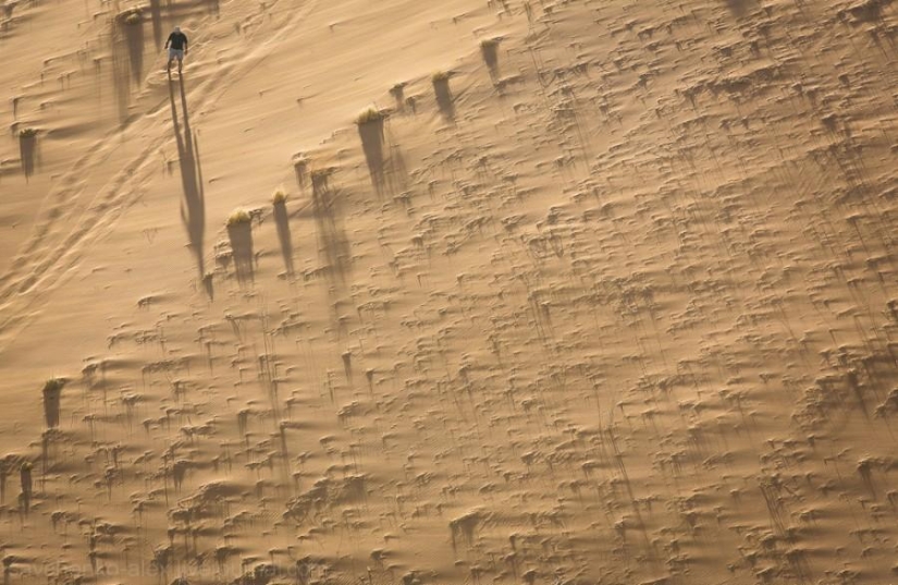 África. Namibia. Desierto de Namib - Sossusvlei