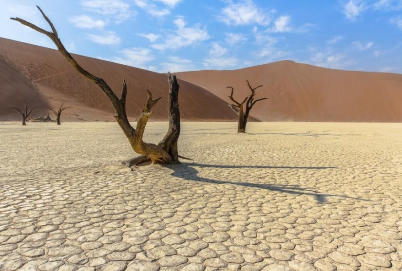 África. Namibia. Desierto de Namib - Sossusvlei