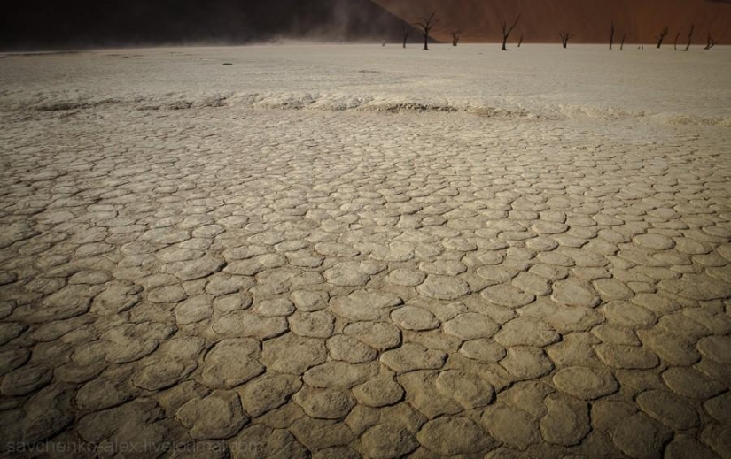 África. Namibia. Desierto de Namib - Sossusvlei