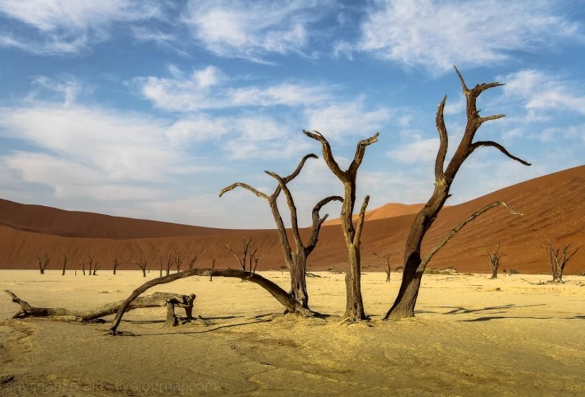 África. Namibia. Desierto de Namib - Sossusvlei