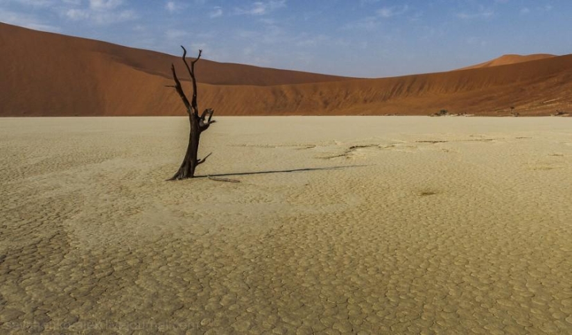 África. Namibia. Desierto de Namib - Sossusvlei