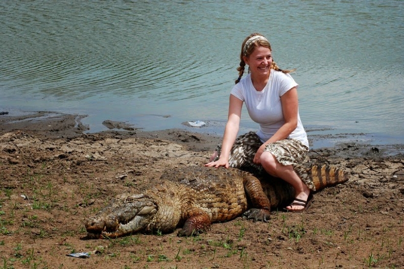 Friendly Pagi crocodiles