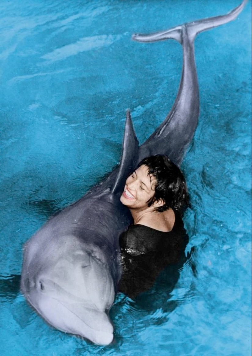 Fórmula del amor: delfín y estudiante.