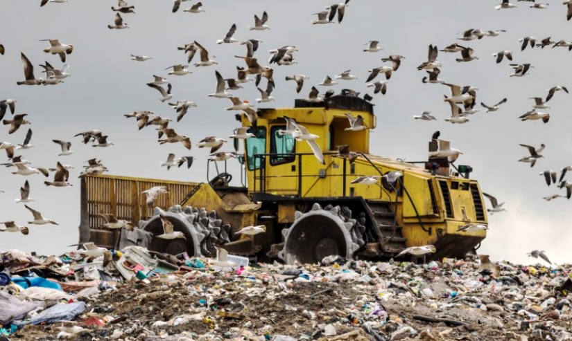 From the master's table, or How the US exports its garbage to third world countries