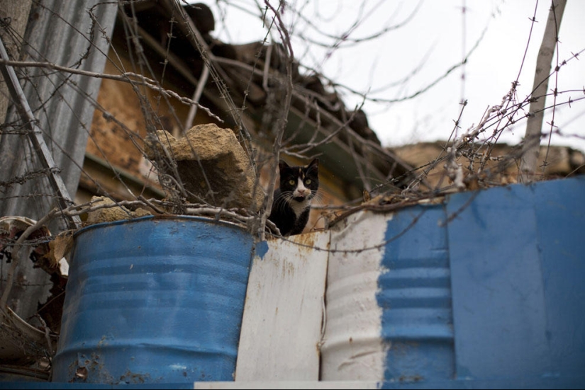 Frozen in Time - Cyprus Exclusion Zone