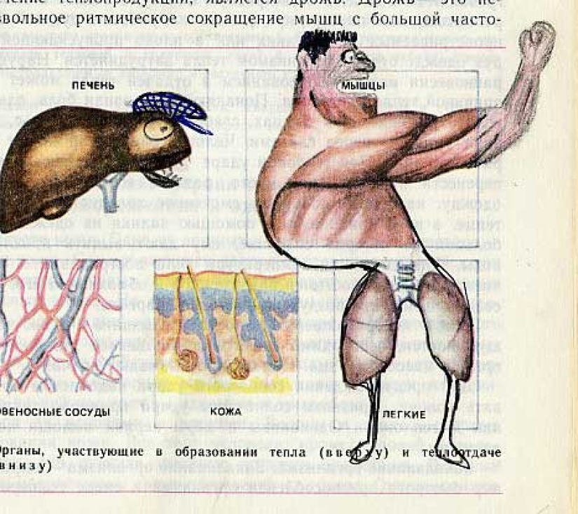 Funny Biology Textbook Takes You Back to 9th Grade