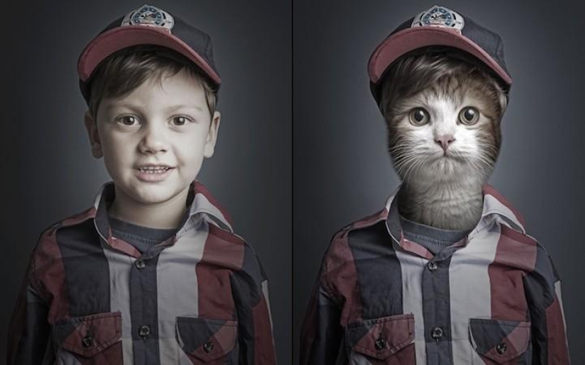 Funny photo series of cats and their owners