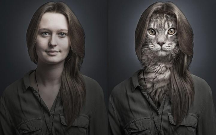 Funny photo series of cats and their owners