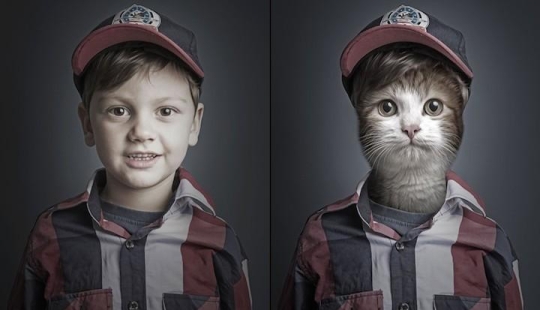 Funny photo series of cats and their owners