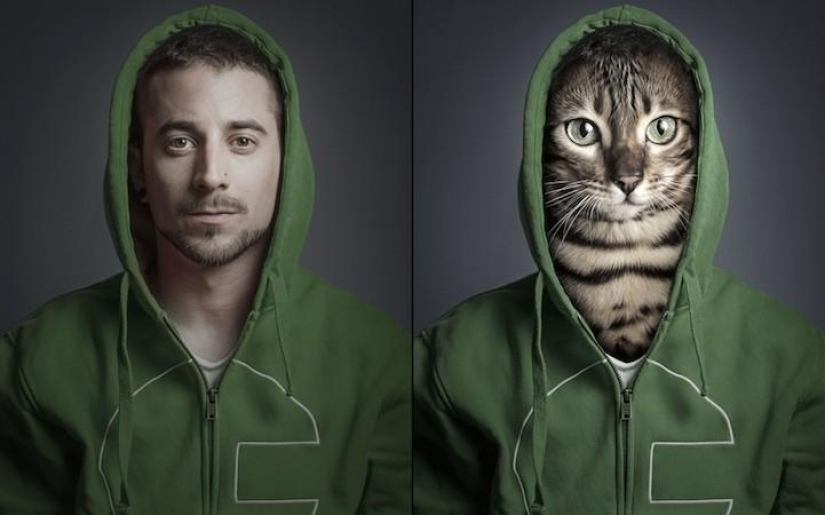 Funny photo series of cats and their owners