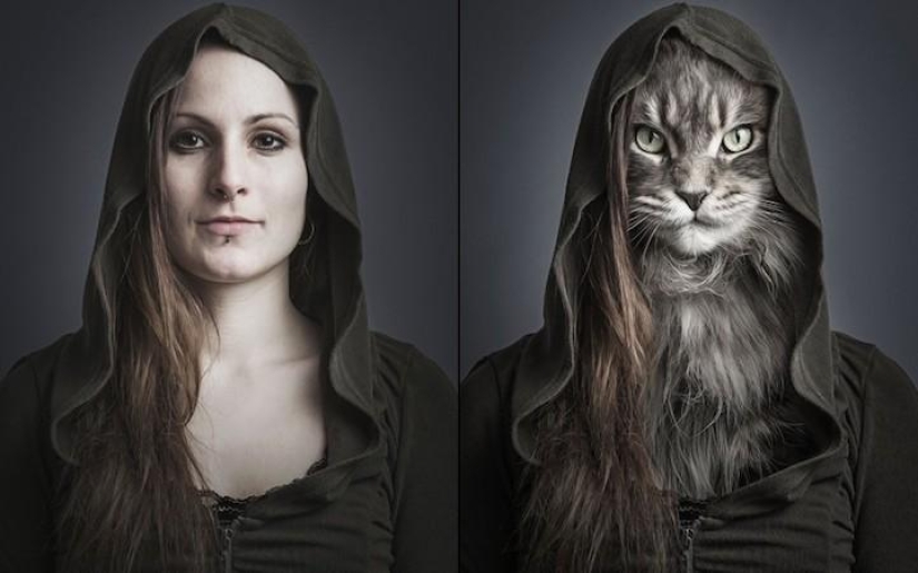 Funny photo series of cats and their owners