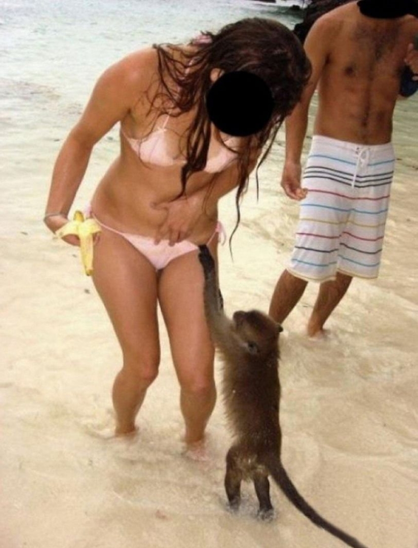 Funny photos from the beach