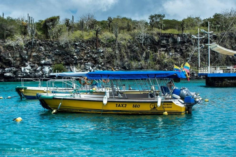 Galápagos. Isla Santa Fe