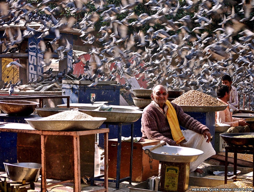 Ganadores Fotógrafo de viajes del año 2013