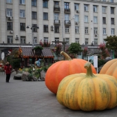 Gastronomic autumn in Moscow
