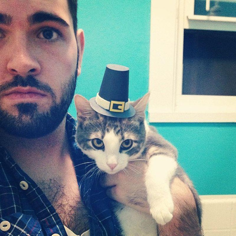 gatitos con sombreros