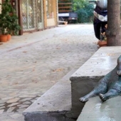 Gato Tombili de Estambul, a quien se le erigió un monumento por una pose imponente
