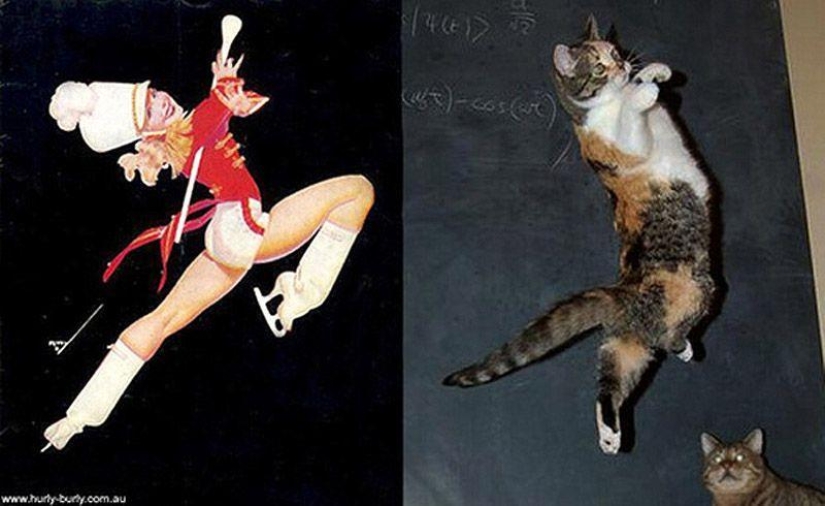 Gatos y niñas en estilo pinup