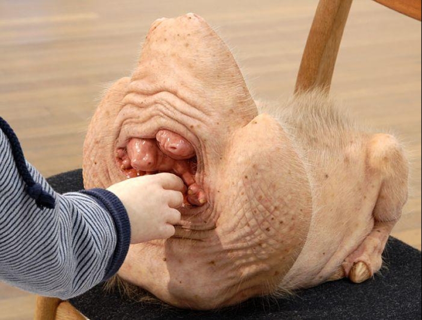 Gentle Monsters by Patricia Piccinini