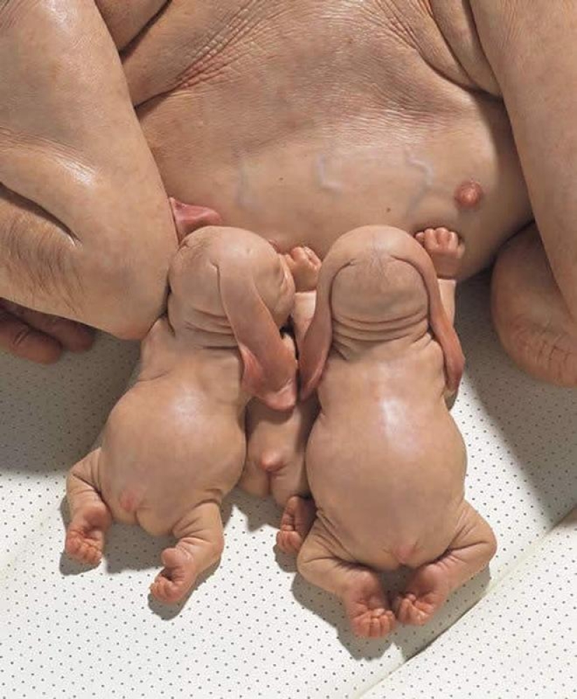 Gentle Monsters by Patricia Piccinini