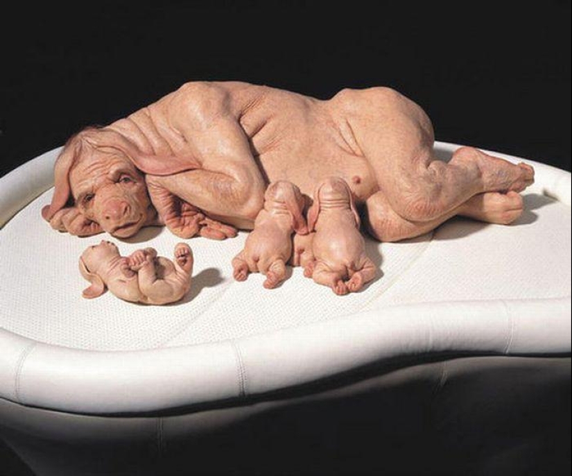 Gentle Monsters by Patricia Piccinini