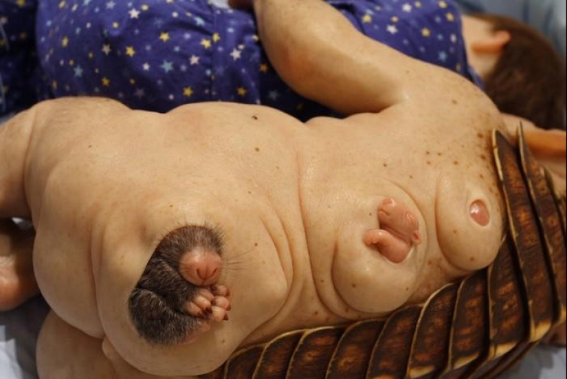 Gentle Monsters by Patricia Piccinini