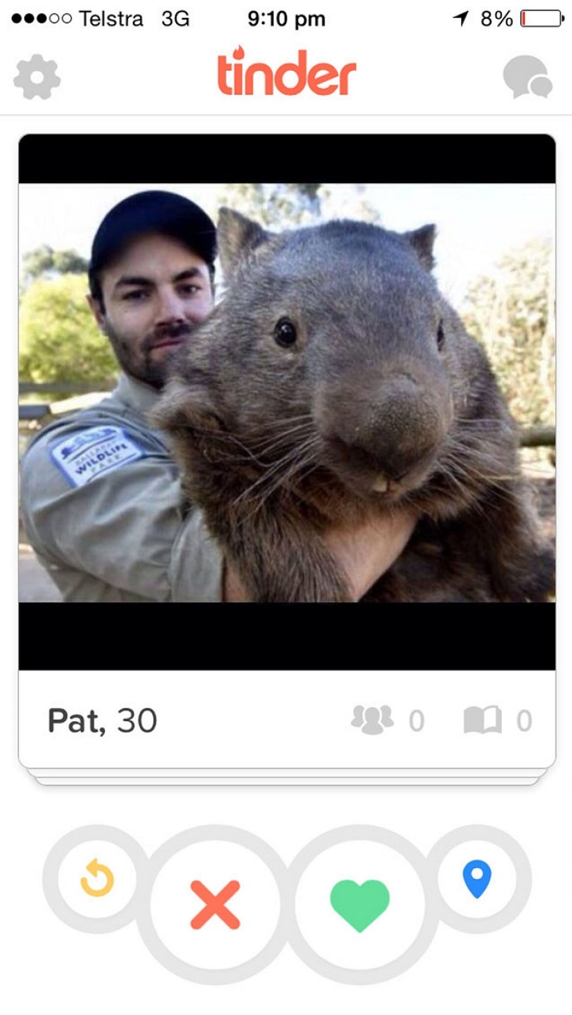 Giant Wombat Turns 30 and Registers on Tinder