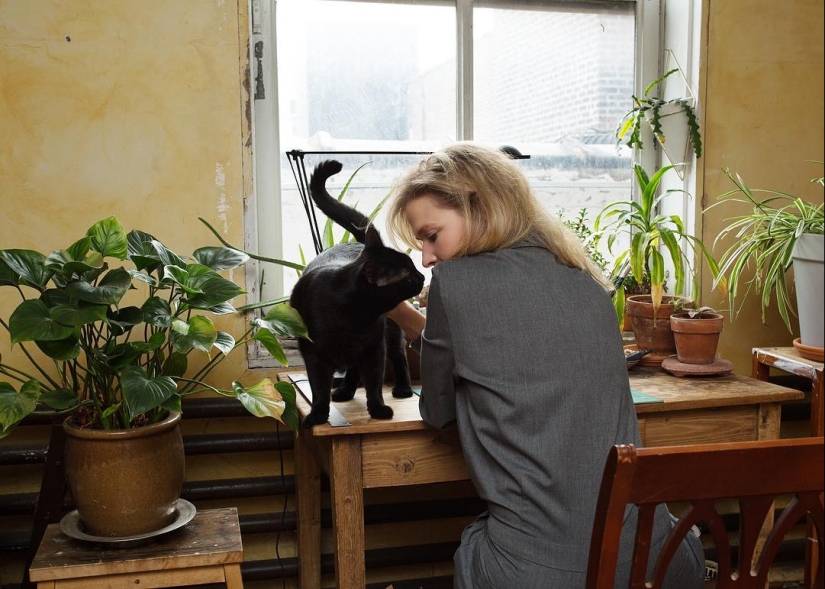 "Girls and cats": a photographer from new York against the stereotypes about crazy cat ladies