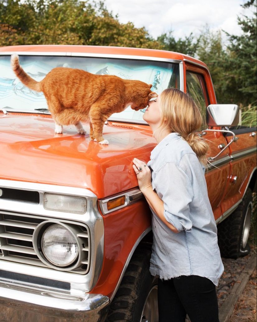 "Girls and cats": a photographer from new York against the stereotypes about crazy cat ladies