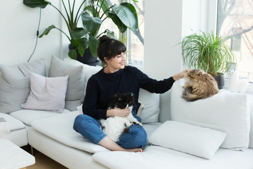 "Girls and cats": a photographer from new York against the stereotypes about crazy cat ladies