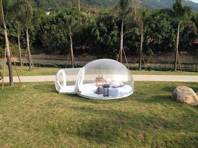 Glamorous camping: a transparent tent for maximum rapprochement with nature