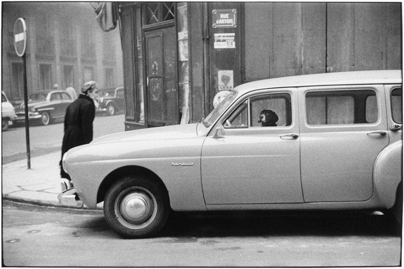 Golpes irónicos de Elliott Erwitt