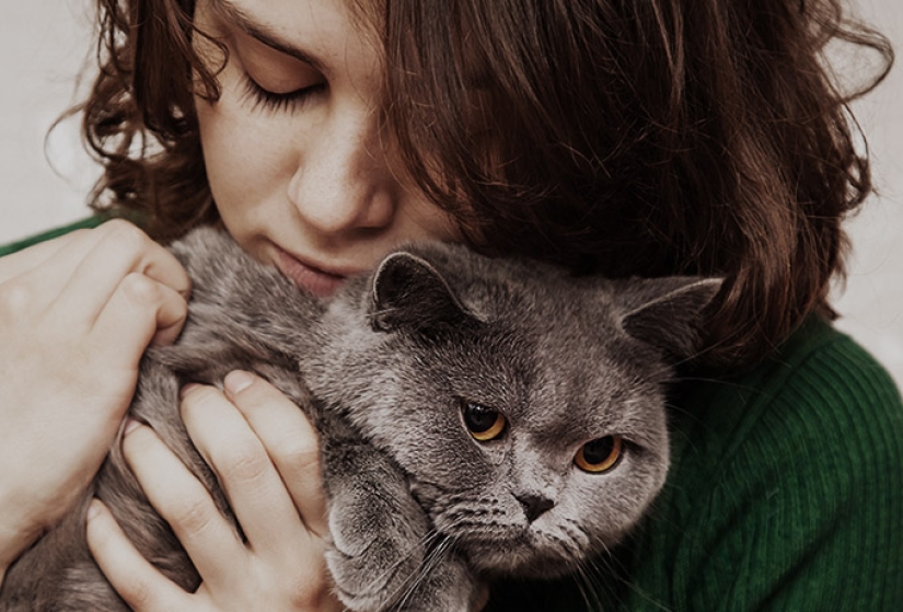 Good and fluffy: the study proves that cat lady is not lonely hysteric