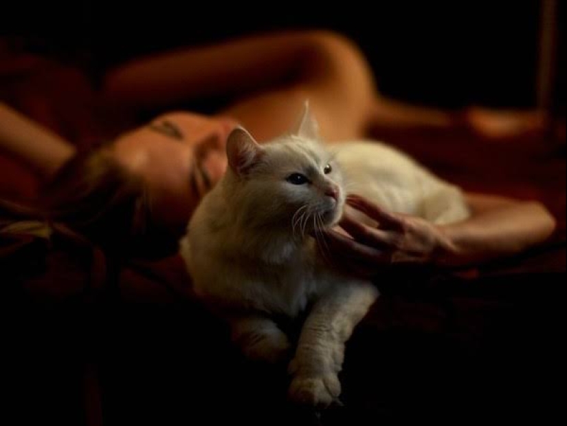 Good and fluffy: the study proves that cat lady is not lonely hysteric