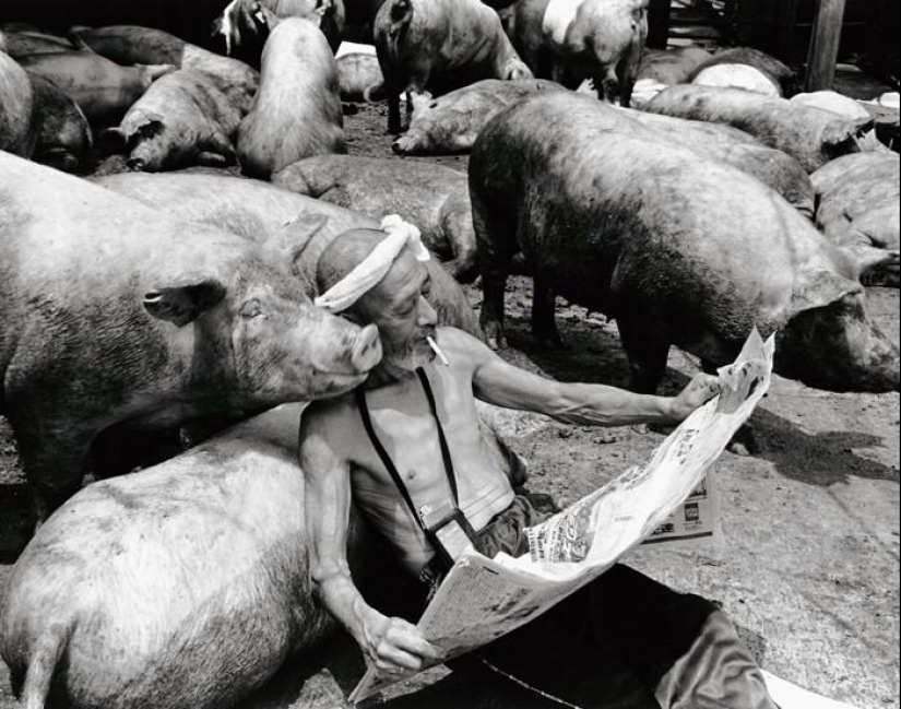 Granjero de cerdo feliz y sus mascotas