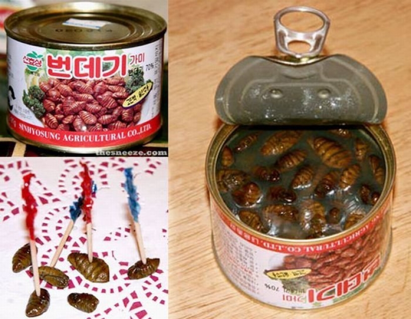 Grasshoppers, alligator, bread and corn... fungus: the craziest canned
