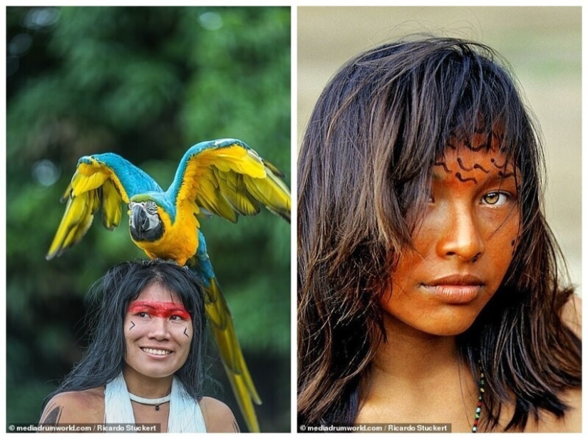 Guardianes de la Amazonía: ¿cómo tribus indígenas en el Brasil de hoy