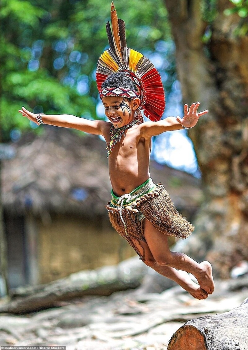Guardianes de la Amazonía: ¿cómo tribus indígenas en el Brasil de hoy