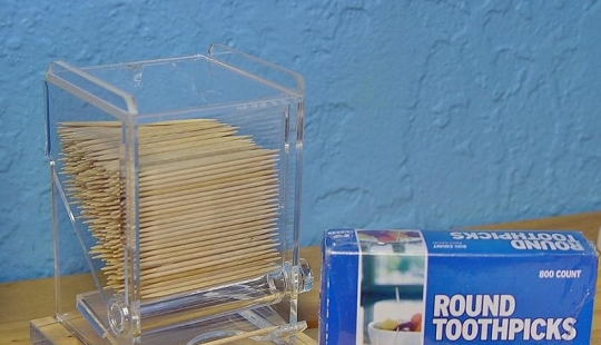 Guess what can be built with toothpicks